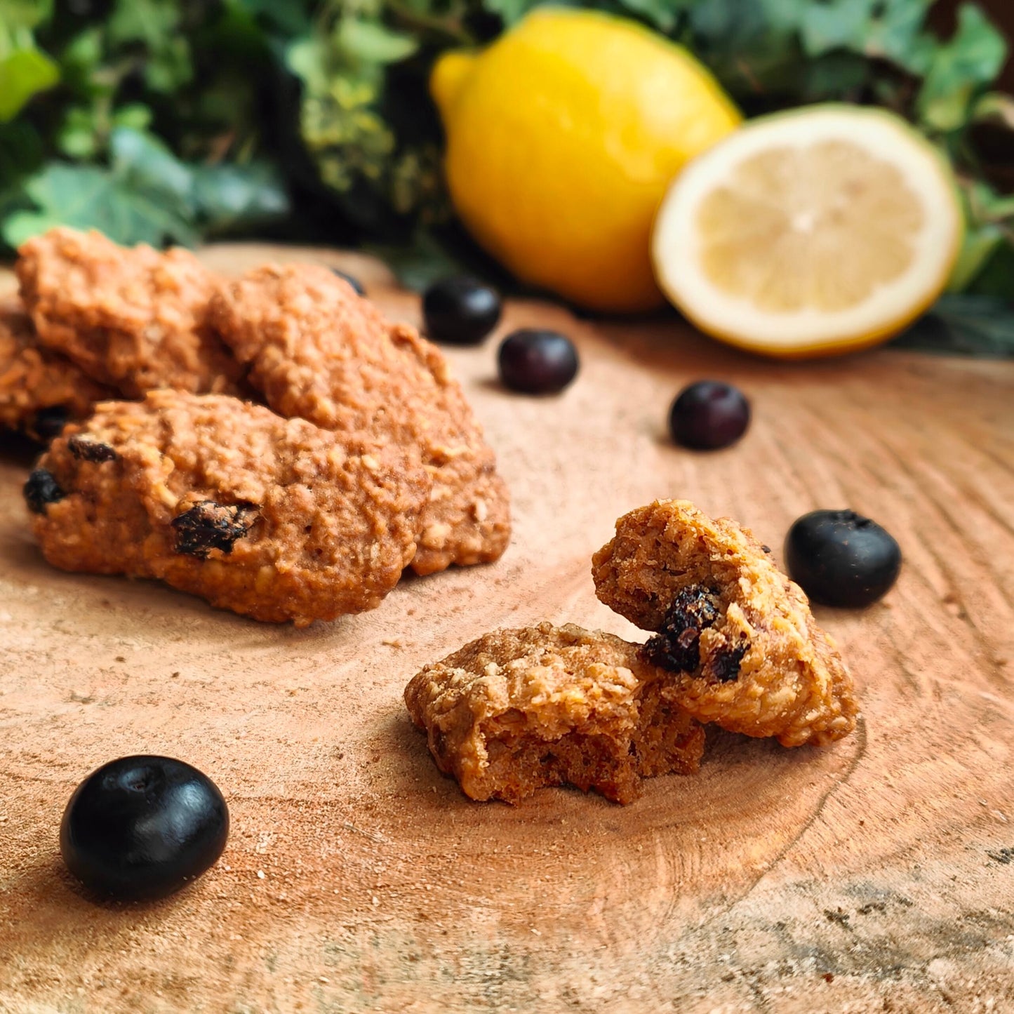 Biscotti di Farina di Avena, Mirtilli Rossi e Scorze di Limoni | Bio