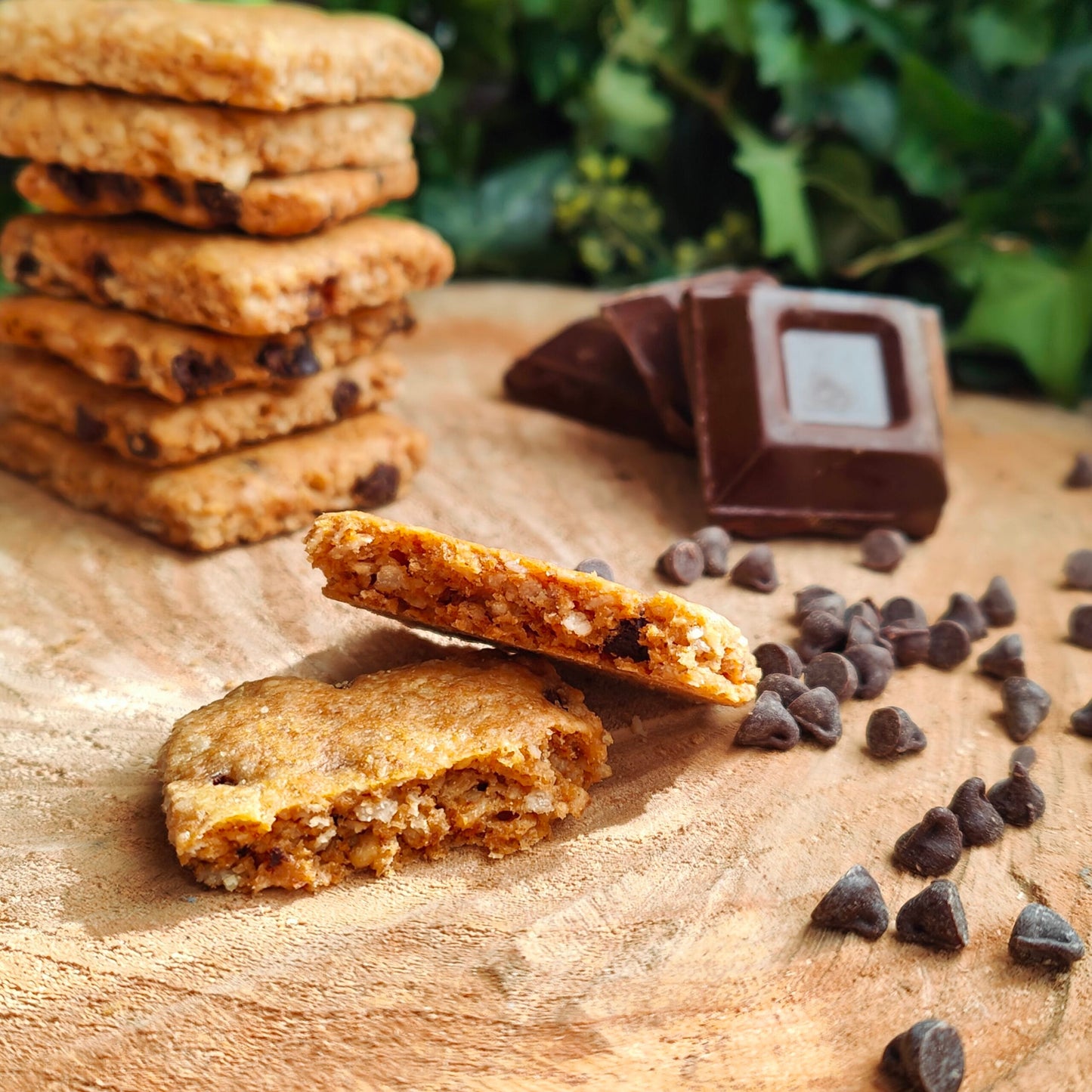 Biscotti ai Fiocchi d'Avena e Cioccolato Fondente | Bio