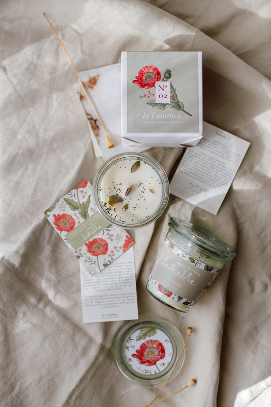 Le Sette Dee | Demetra