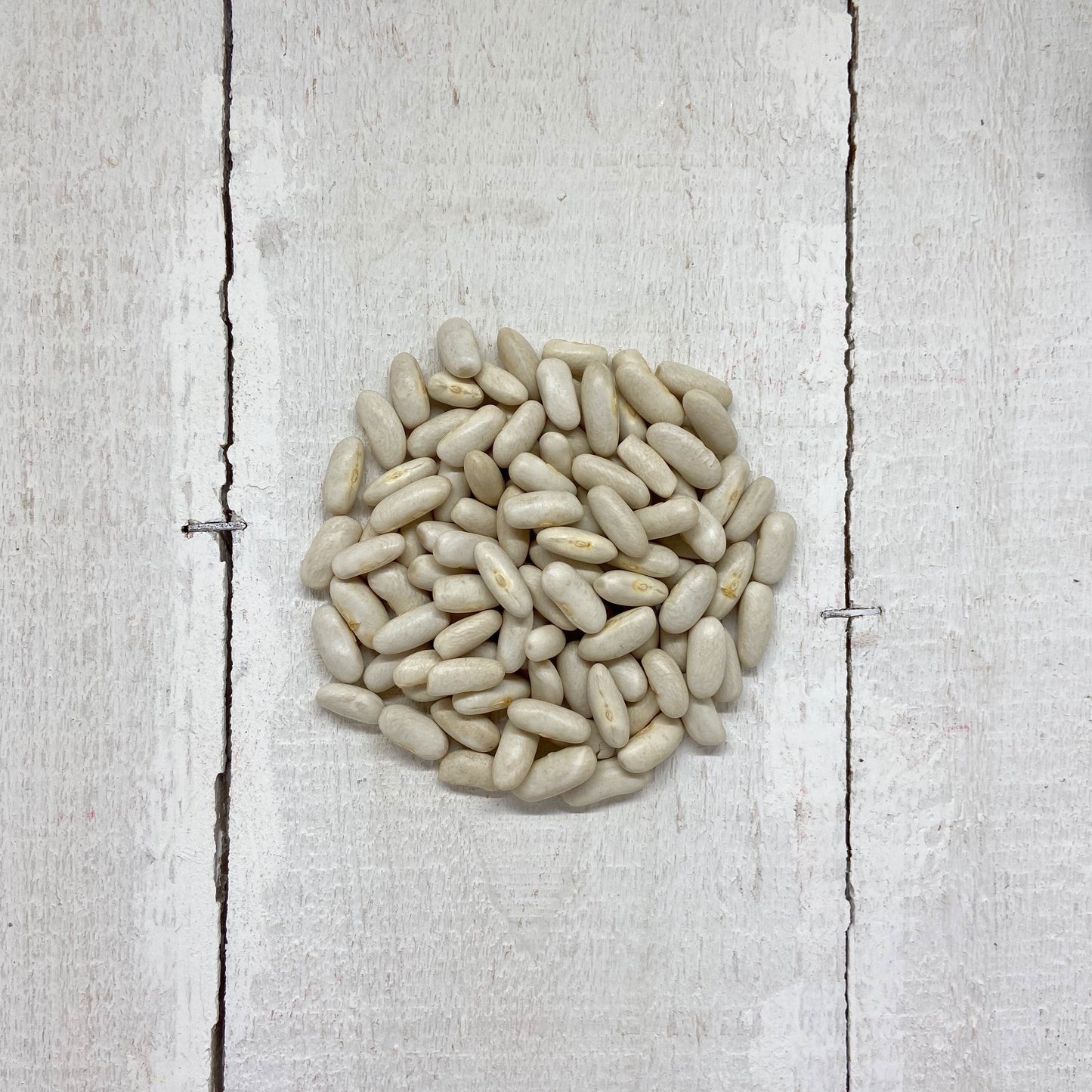 Fagioli Cannellini | Bio