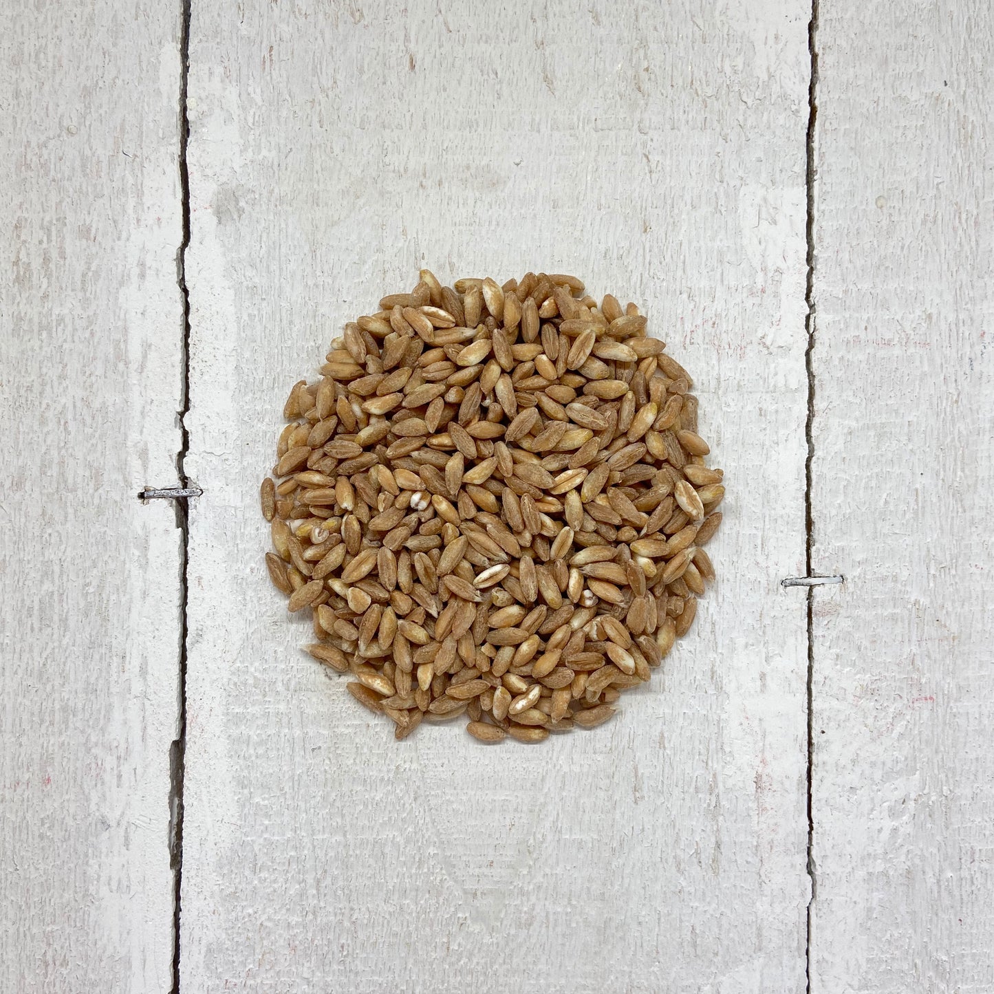 Farro Decorticato | Bio e Km 0