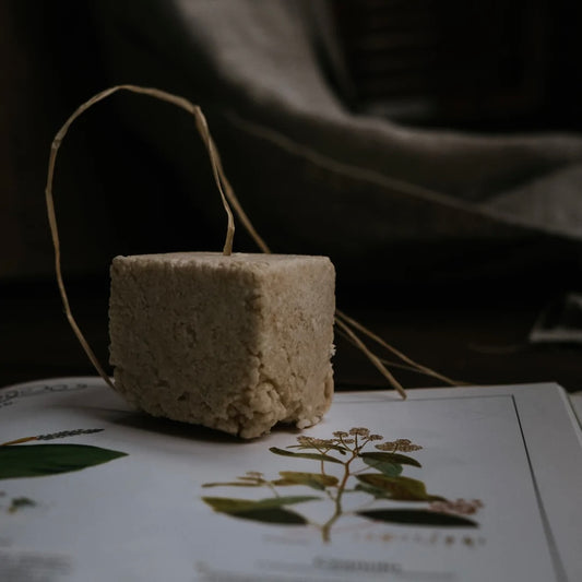 Shampoo e Balsamo Solido 2 in 1 | L'Incomparabile