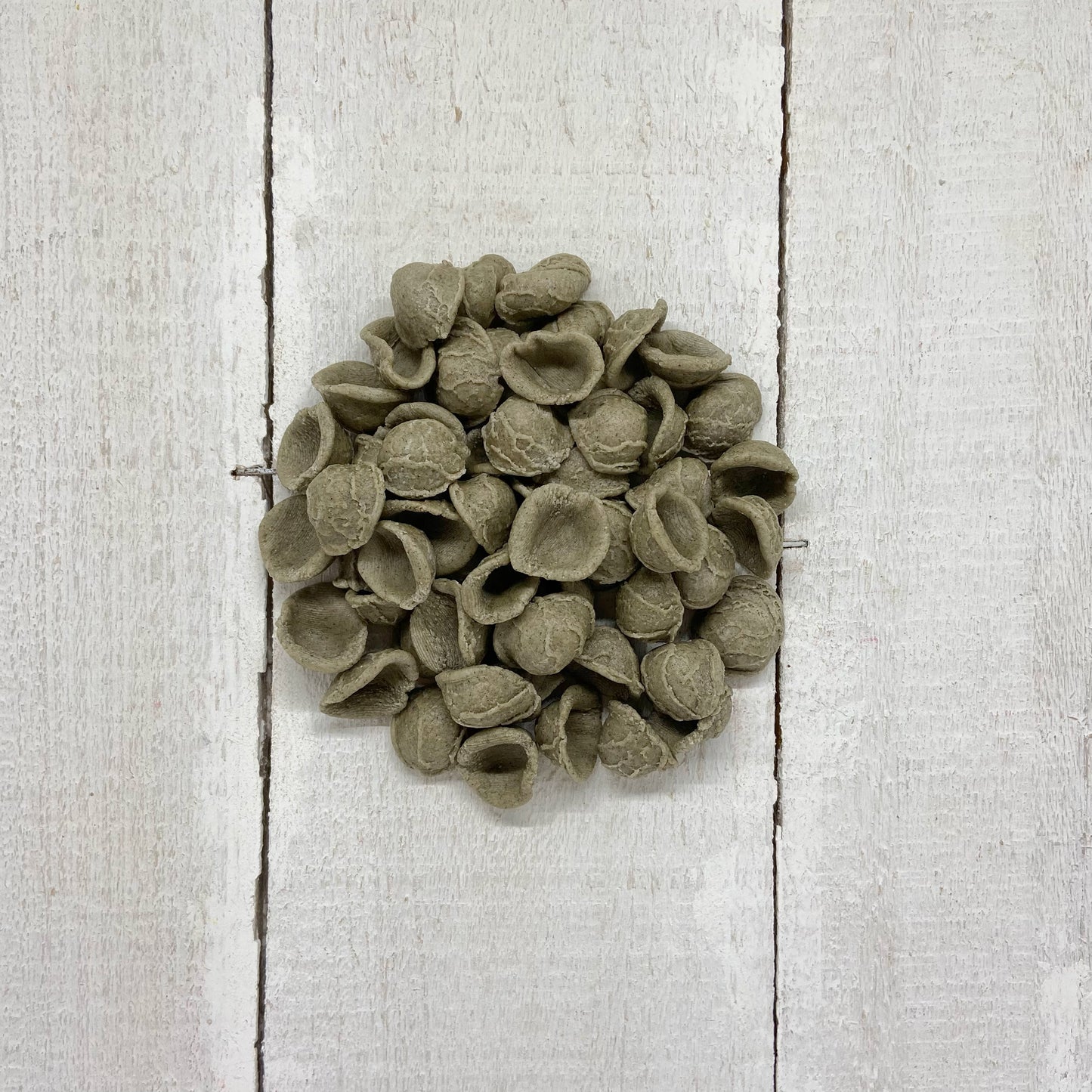 Orecchiette di Grano Arso