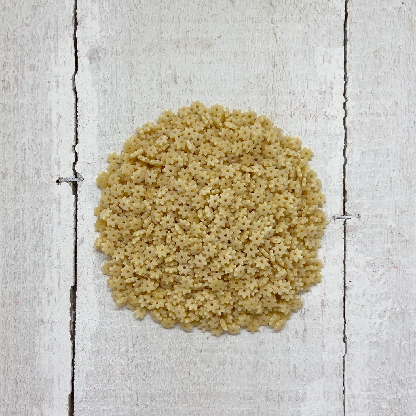 Stelline di Grano Duro | Bio