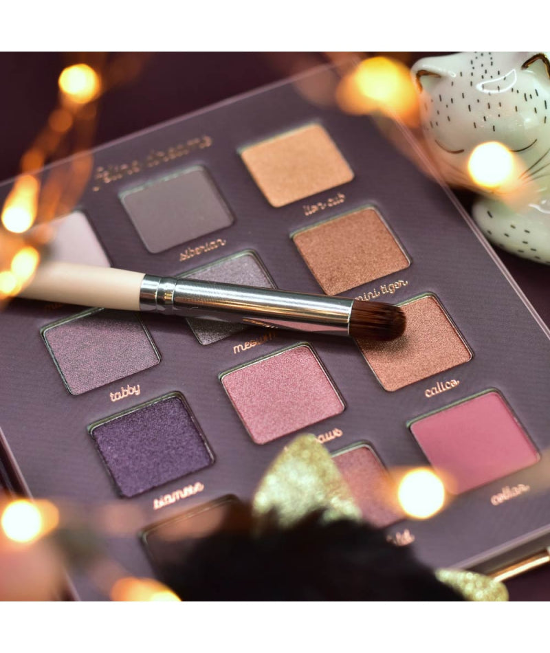 Gli Arcobaleni | Feline Dreams Palette