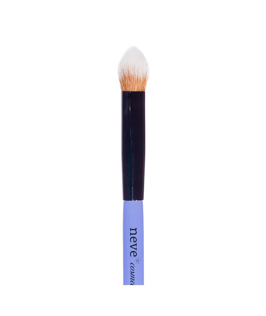 Pennello | Sky Corrector