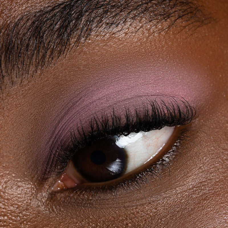 Blush in Cialda | Lotus