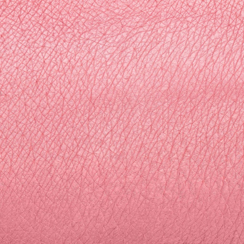Blush in Cialda | Lotus