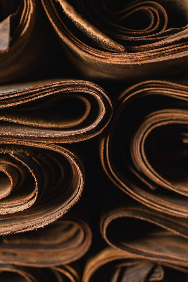 Candela Bibliosmia