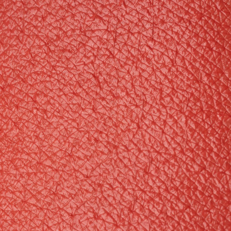 Rossetto Candy Veil | Spring Peach