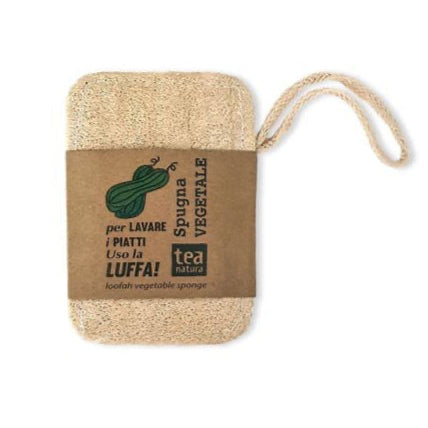 Spugna Vegetale in Luffa