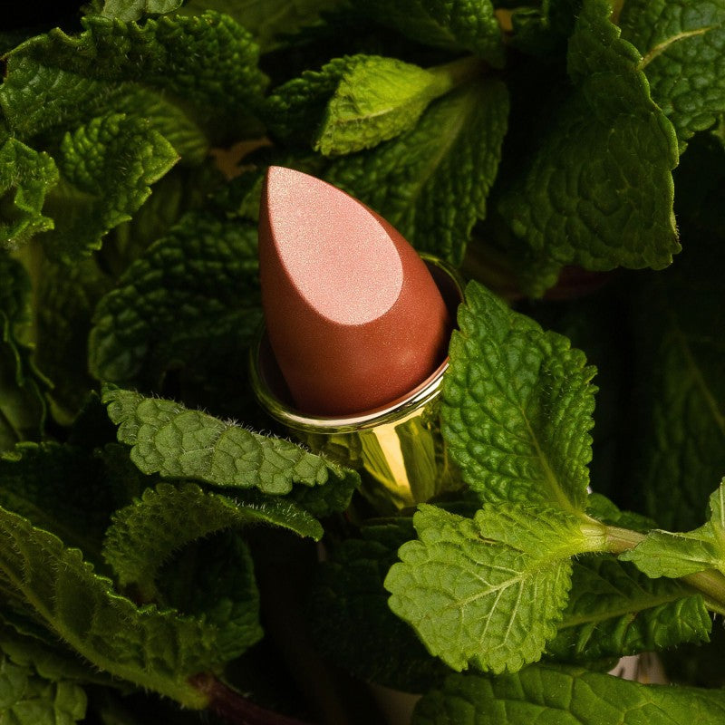 Lippini | Mintcondition