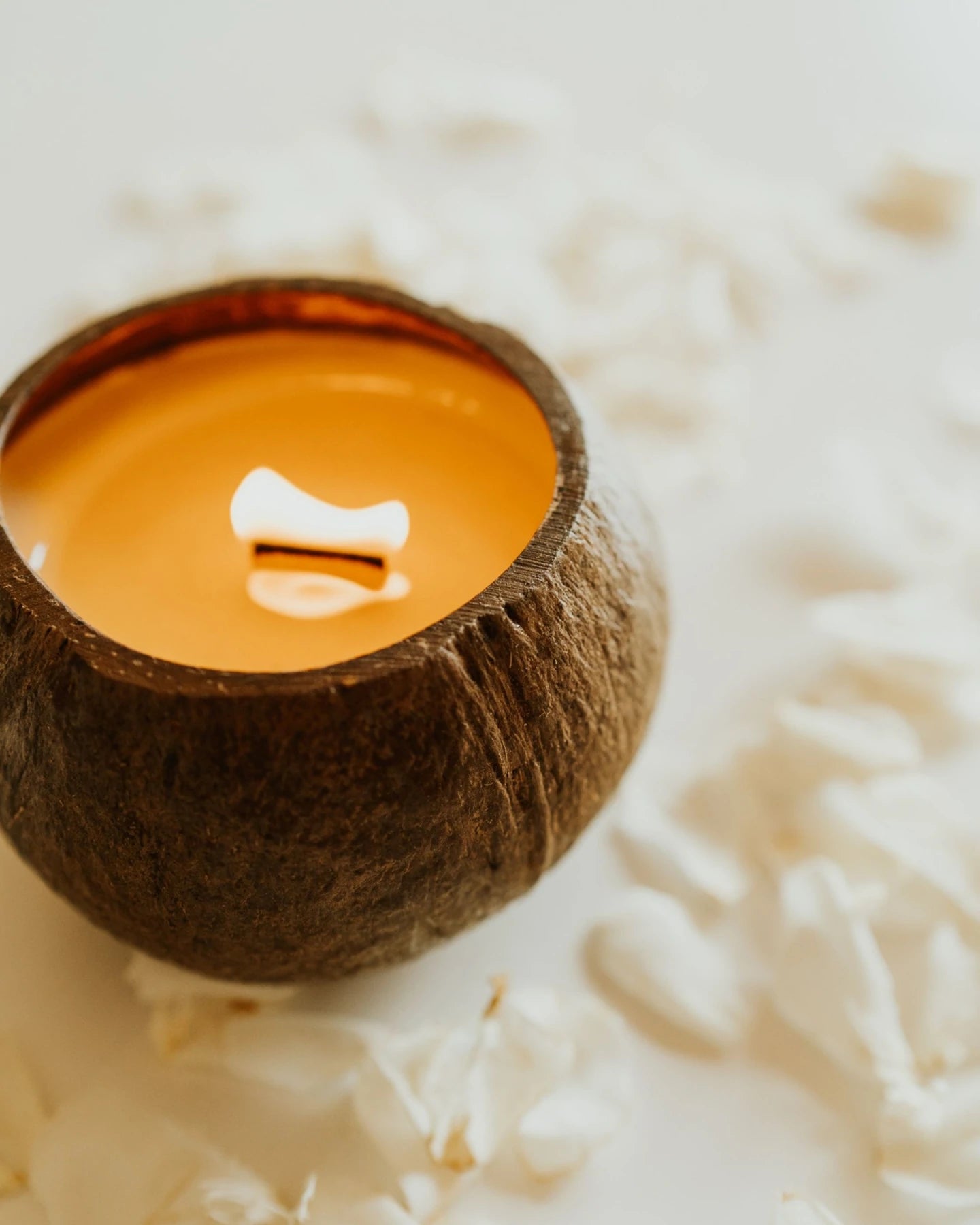 Coco Candle | Gelsomino