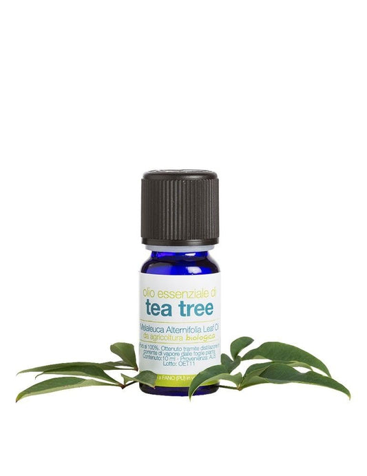 Olio Essenziale | Tea Tree Bio